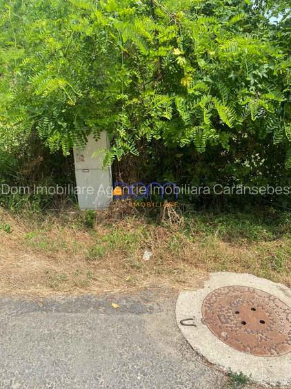 Teren intravilan cu utilitati si proiect de casa - 6
