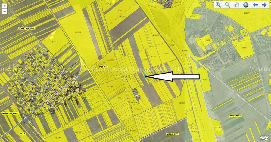 Vanzare teren intravilan 5000mp Ploiesti Vest, centura ocolitoare de Vest - DN1 - 3