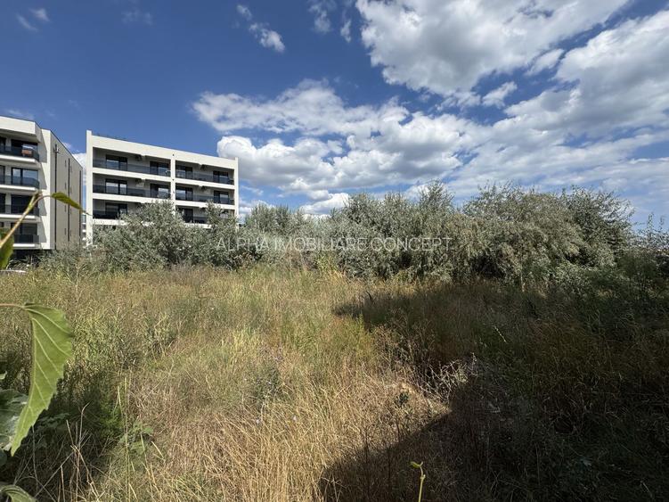 Mamaia Nord - Plaja MANARA teren 1000 mp 36 deschidere - 4