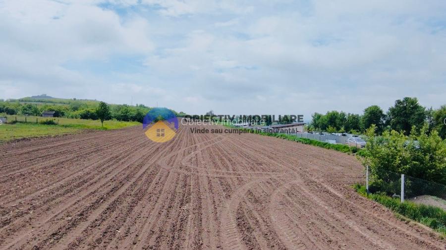 Teren- Com. Stefan cel Mare- jud. Neamt - 4