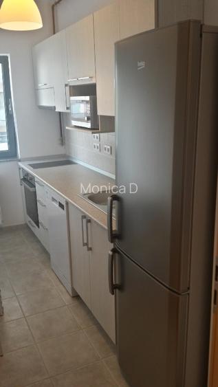Proprietar | Garsoniera mare | 52.5 mp | Parcare | An 2010 | Doamna  Ghica Plaza - 6