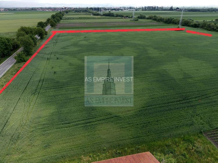 Teren intravilan 50000 mp, cu PUZ, Aprobat - zona Halchiu/Codlea - 5