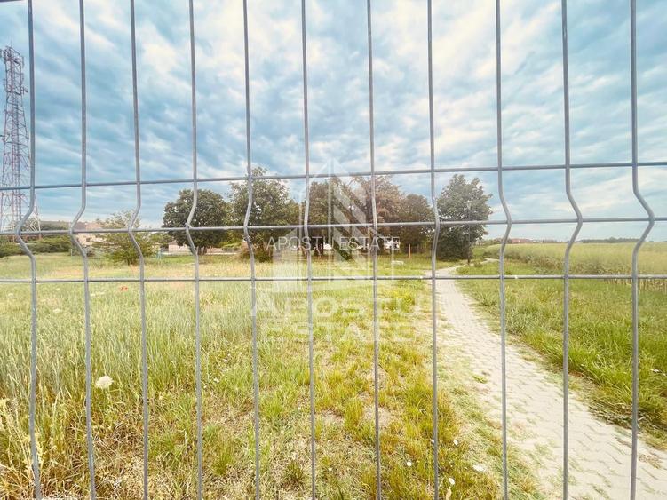 Teren Intravilan cu Constructie Zimandu Nou - 26