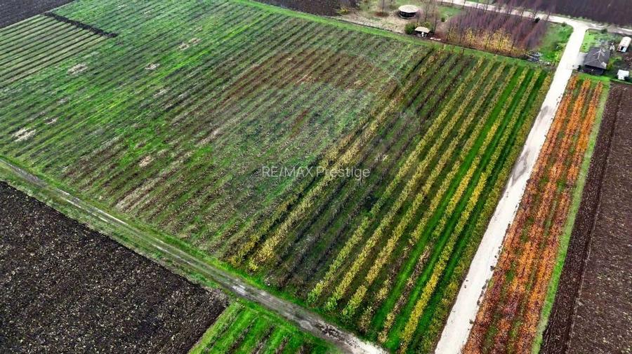Ferma agro-industrială – 43 ha Adunații Copaceni - 14