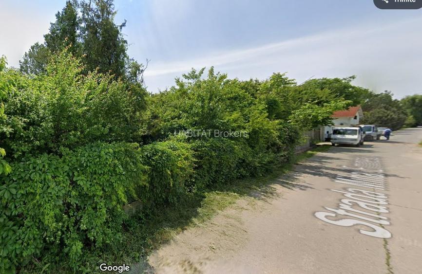 Izvorani | Deschidere la Lacul Snagov | Aparare de mal - 4