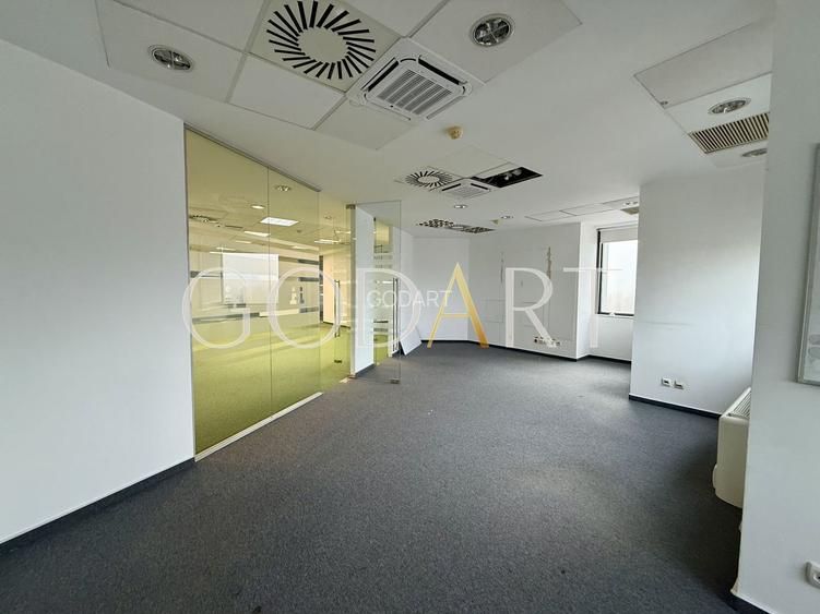 Spațiu de Birouri Premium | Etaj Integral | 455 mp - 6