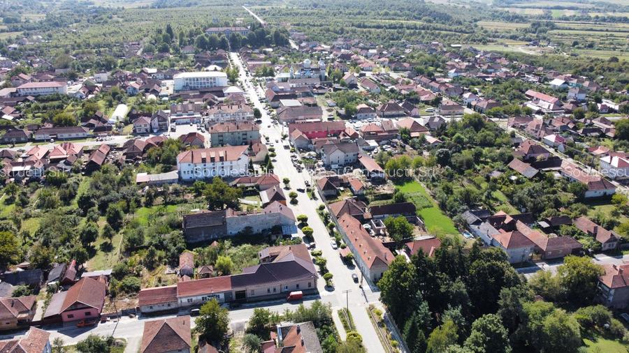 Casa vacanta,investitie  in Gurahont cu teren generos - 21