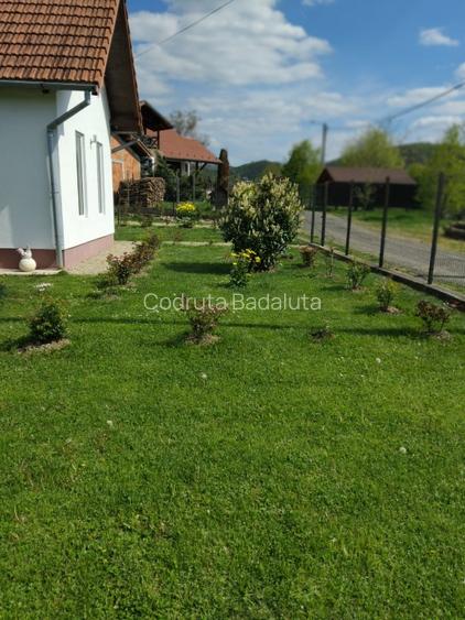 Vanc casa cu teren intravilan  - 6