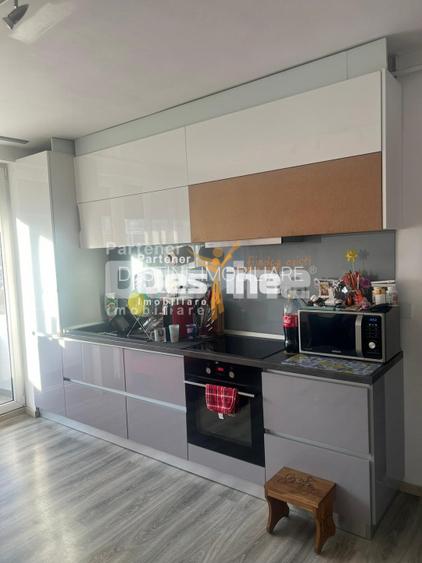Apartament 2 camere, Baia Mare, Victor Babes, decomandat, mobilat, etaj 8 /10 - 4