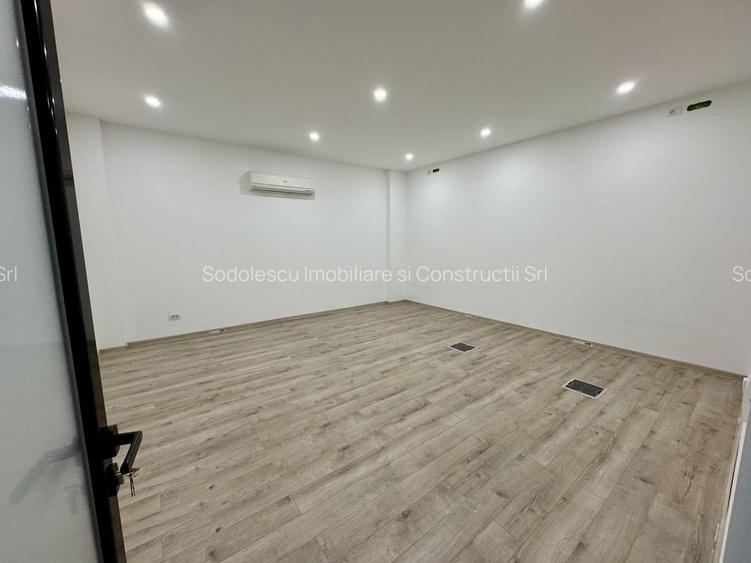 Clădire SAD de închiriat, situată la intrarea în Dumbrăvița - 33