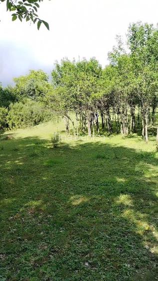 Teren extravilan de vânzare  comuna Șișești sat Șișești Maramures - 9