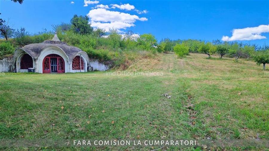 OPORTUNITATE UNICA IN DOMENIUL VITICOL - 6