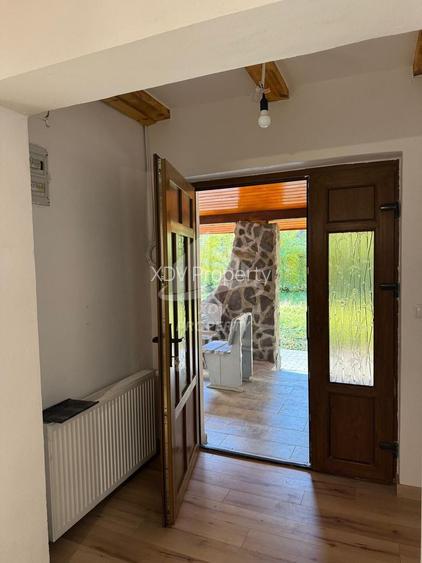 Pensiune/ Vila Valea Avrigului - 9