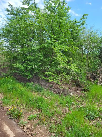 Teren intravilan Ghermănești – 5.000 mp, lângă stadion, toate utilitățile, 80€/m - 4