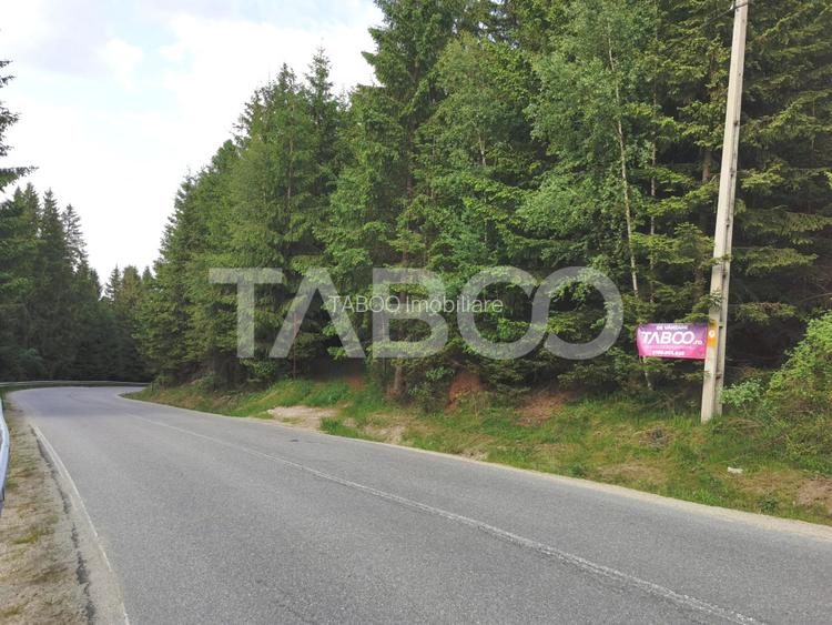Teren cu puz intravilan in localitatea Paltinis din judetul Sibiu - 4
