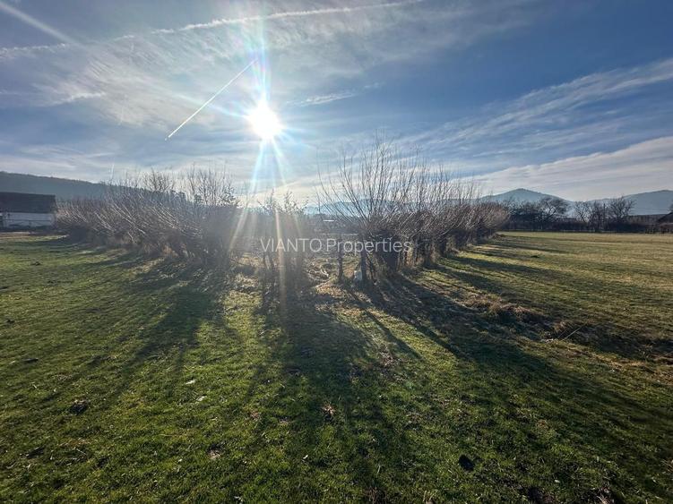 TEREN INTRAVILAN 1080 MP IN RASINARI - 5