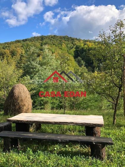 Teren extravilan in Brebu(Pietriceaua)--9104mp--50.000e - 6