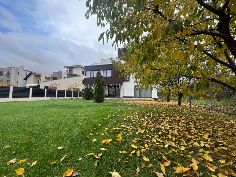 Dimitrie Leonida Metrou - 37