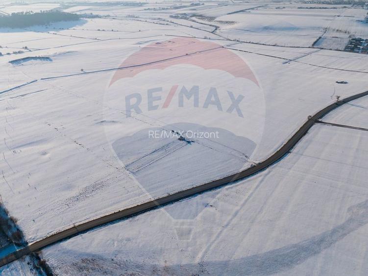 PLANTATIE ARONIA- TEREN AGRICOL - 11