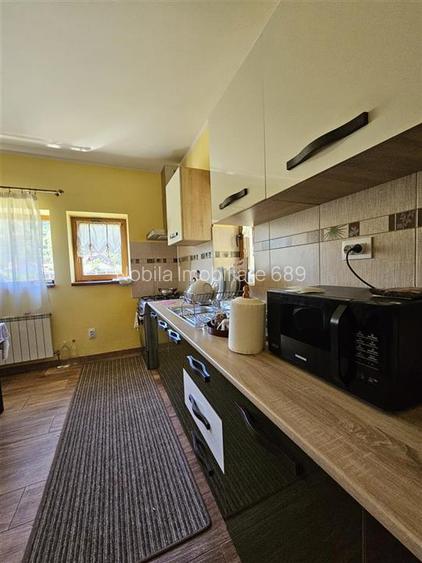 TEREN INTRAVILAN DEVANZARE 33161 MP DE VANZARE TARGU OCNA - 7