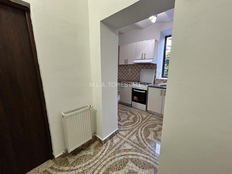 Apartament 1 camera Boul Rosu de inchiriat - 10