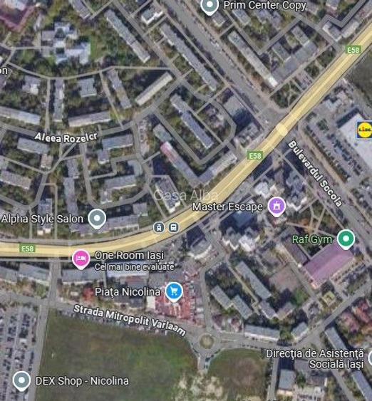 Podu Ros - Piata Nicolina, spatiu comercial de vanzare - 2