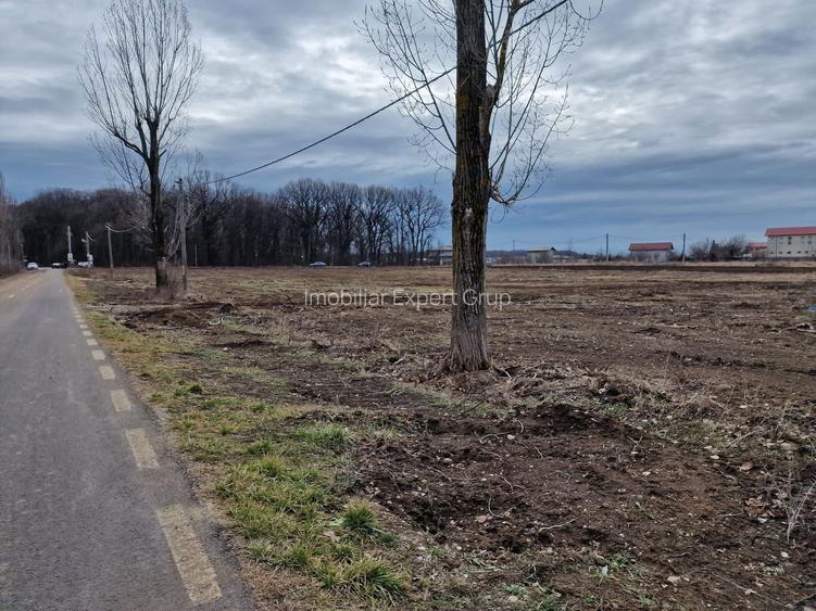 Ciolpani adiacent  DN1  teren  12800 mp  parcelabil  toate utilitatile - 5