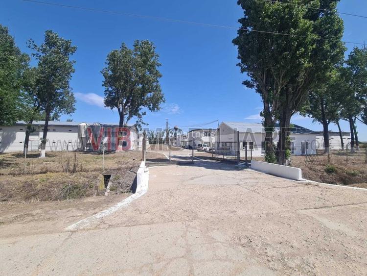 *Proprietate industrială | Fermă avicolă | Teren 35.000 mp | Hale și utilități e - 3