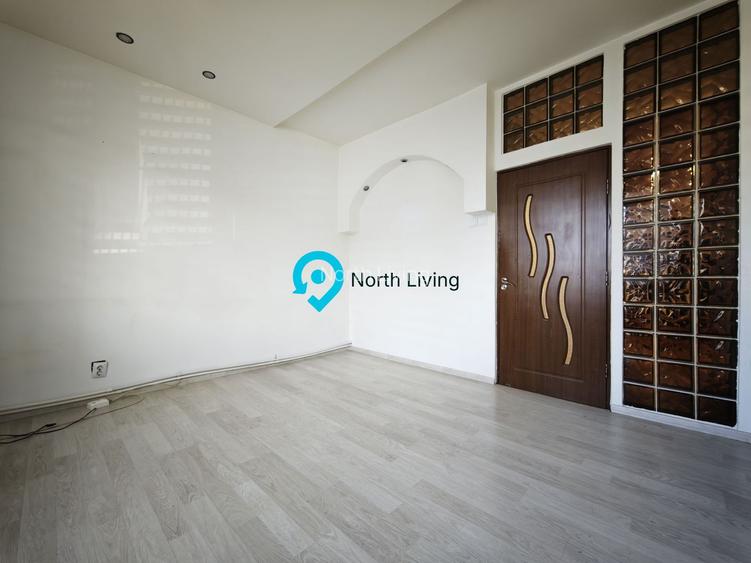 Apartament 4 camere, vilă, 120 mp, Hala Traian, investiție - 8