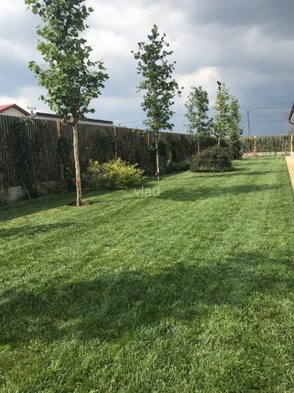 Locatie pentru Evenimente in Saftica - Gradina Lahovari - 8