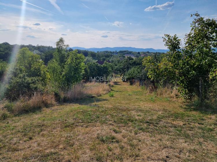 Teren intravilan 728 mp – ideal pentru cabană – 19.000 € - 2