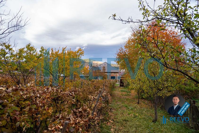 Casa de vânzare, strada Paun Pincio nr. 5, Moinești - 3