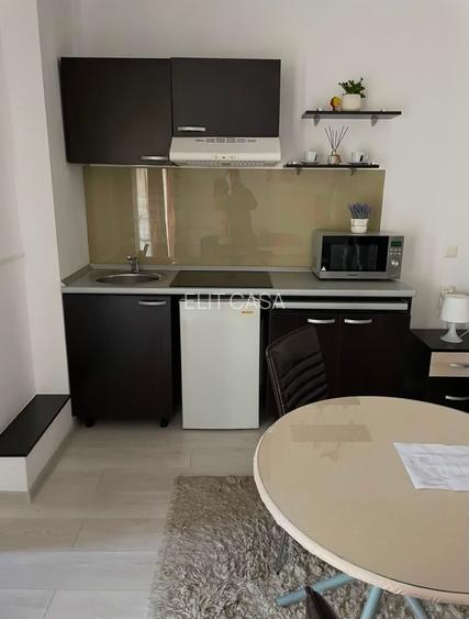 Apartament cu 1 cameră, zona Centru - Palas Mall - 5
