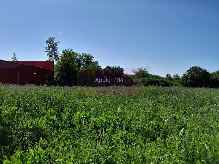 Movilita (IL)-teren de inch. 1800 mp stradal, 30 ml desch, langa Profi - 10