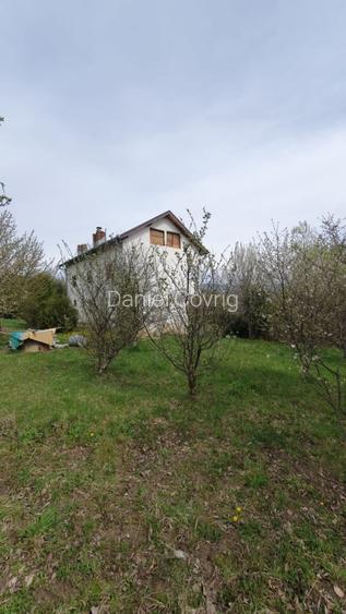 Investitie Calimanesti  - 2