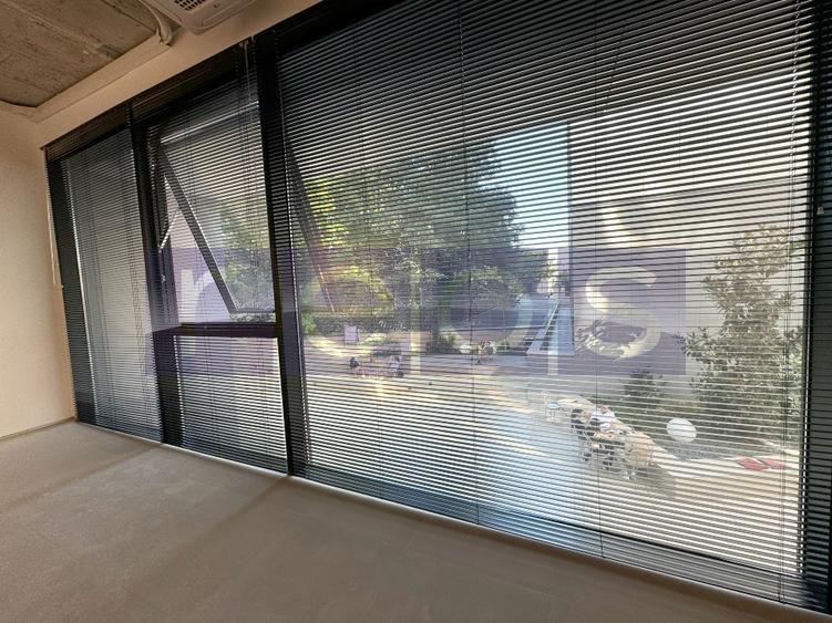 OPORTUNITATE | VANZARE SPATIU COMERCIAL | 44MP | HERASTRAU | WIN | - 3