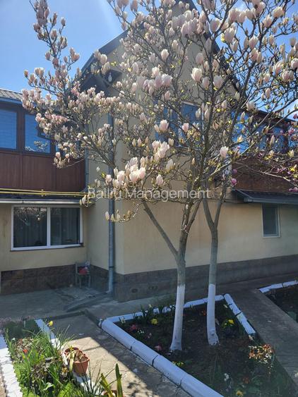 Intermediez casa P+M,Năvodari - 20