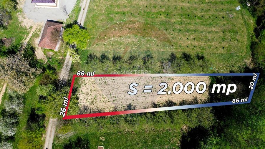 Teren de vanzare langa padure Copalnic Manastur - 4