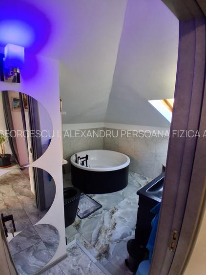 Parc Carol 3 Camere Mansarda - 12