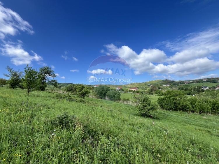 Teren cu PUZ Cluj-Napoca | Casa individuala | Borhanci-Sopor - 3