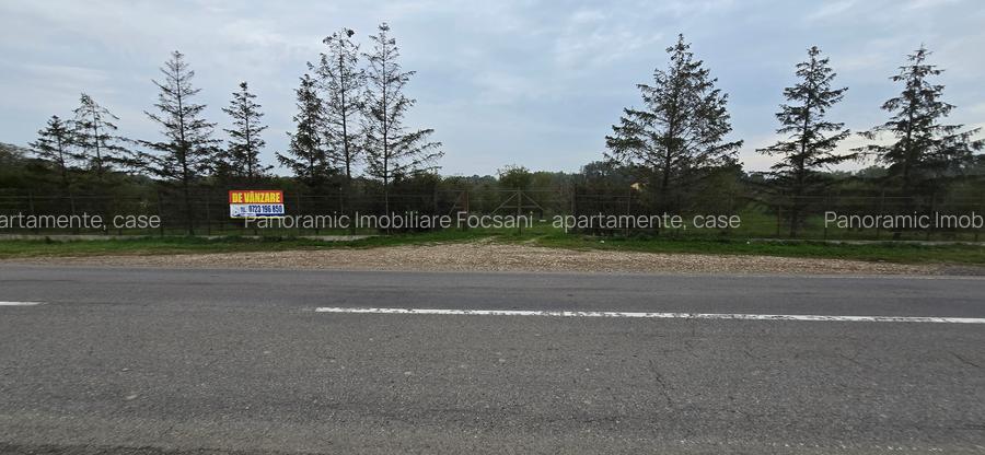 LIVADA  DE VANZARE FOCSANI-DUMBRAVITA  1,8  HA - 30