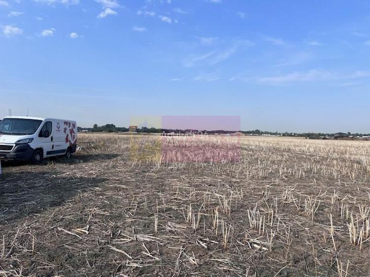 Teren Domnesti strada Ciocarliei. - 3