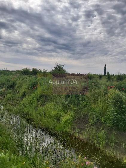 Teren Corbeanca- Drumul Garii Odai. - 2