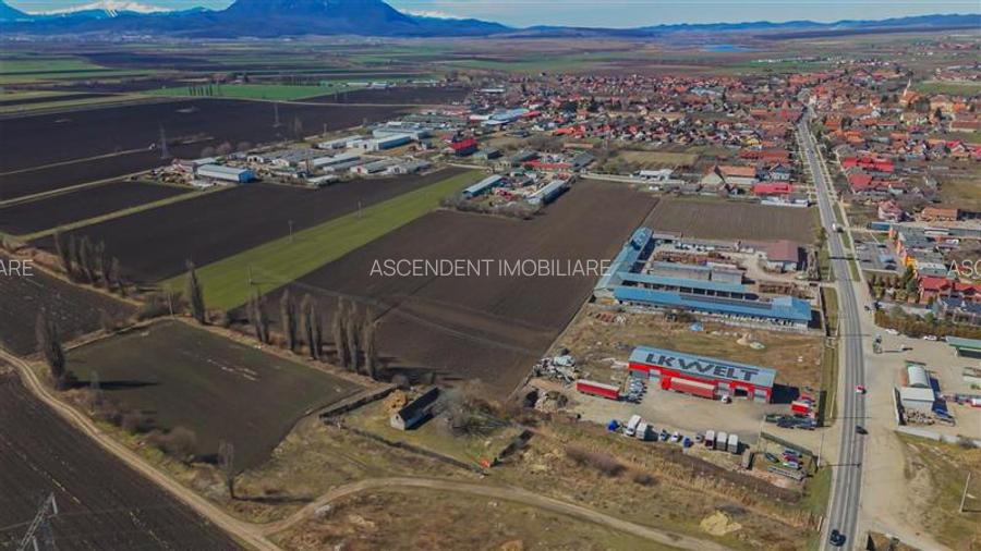 FILM! 10.000mp teren intravilan, Central, Halchiu, Brasov - 4