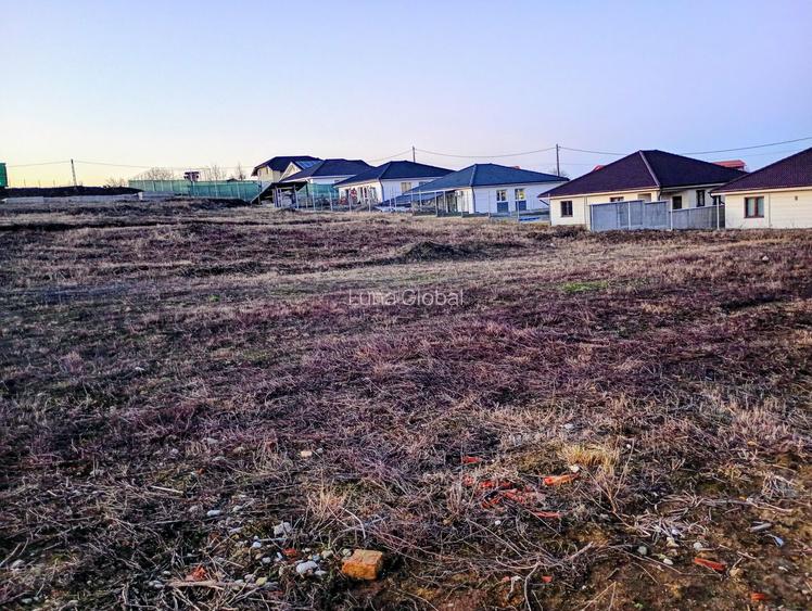 Teren intravilan de vanzare 1000 mp cu utilitati Paleu - 5