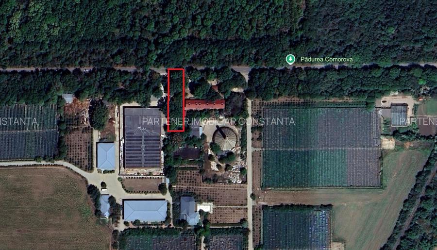 Neptun - Teren construibil in Padurea Comorava - 3