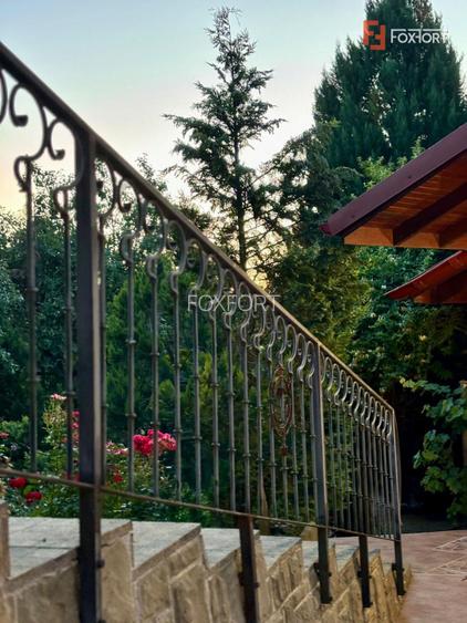 Casa individuala cu 5 camere si teren de 1 hectar - Ghioroc - Arad - 33