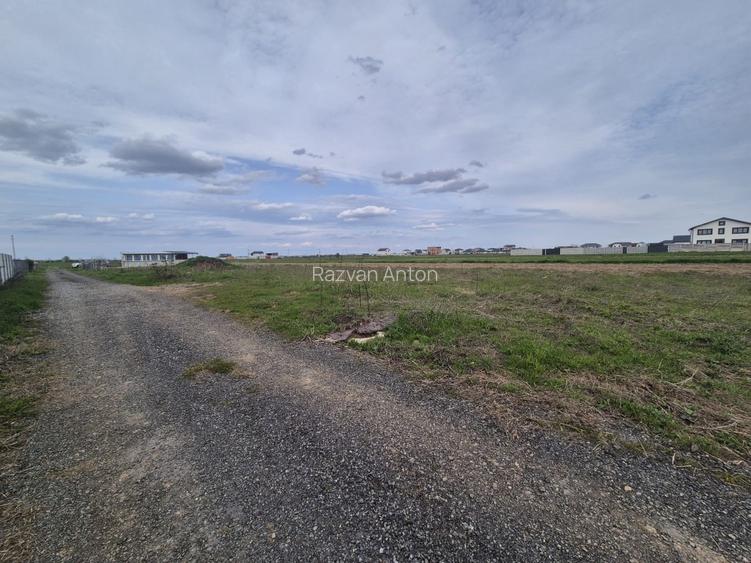 Teren intravilan construibil – 1.070 mp – Dragomirești-Vale, Str. Mahonului - 6