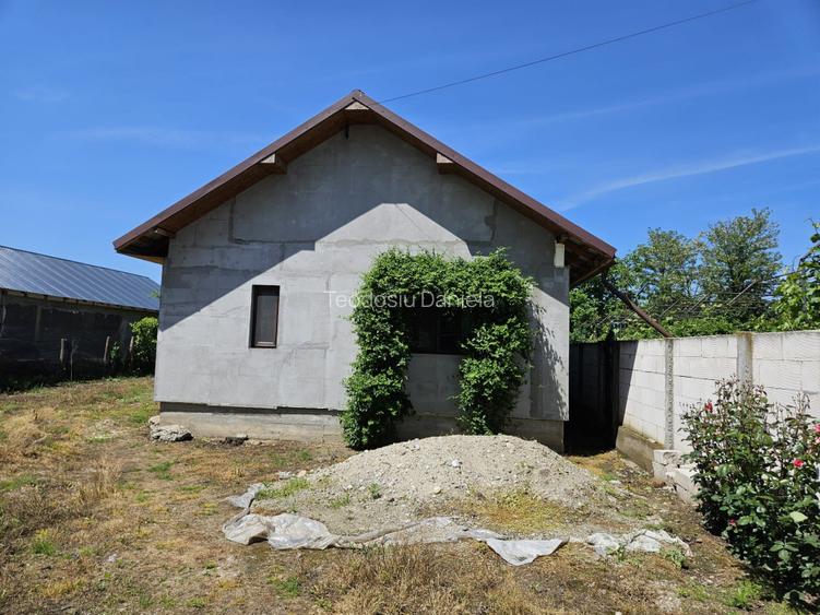 Vand Casa 2 camere 153mp Rusanesti, Olt - 13