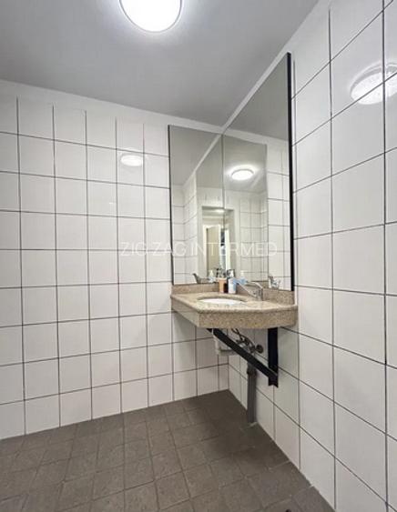 Ultracentral, spatiu comercial 490 mp. - 14